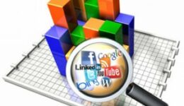 socialmediastats-300x272