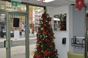 _DSC0030(1) _DSC0030(1)