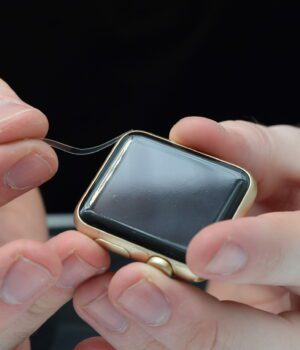 DSC_0107 (2) DSC_0107 (2)